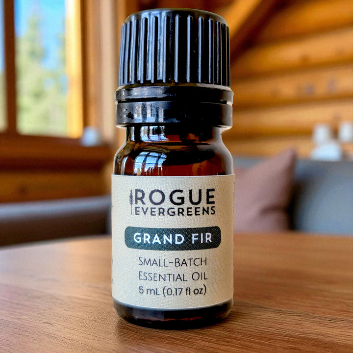 The Forest Library — Pure Conifer Oil Set