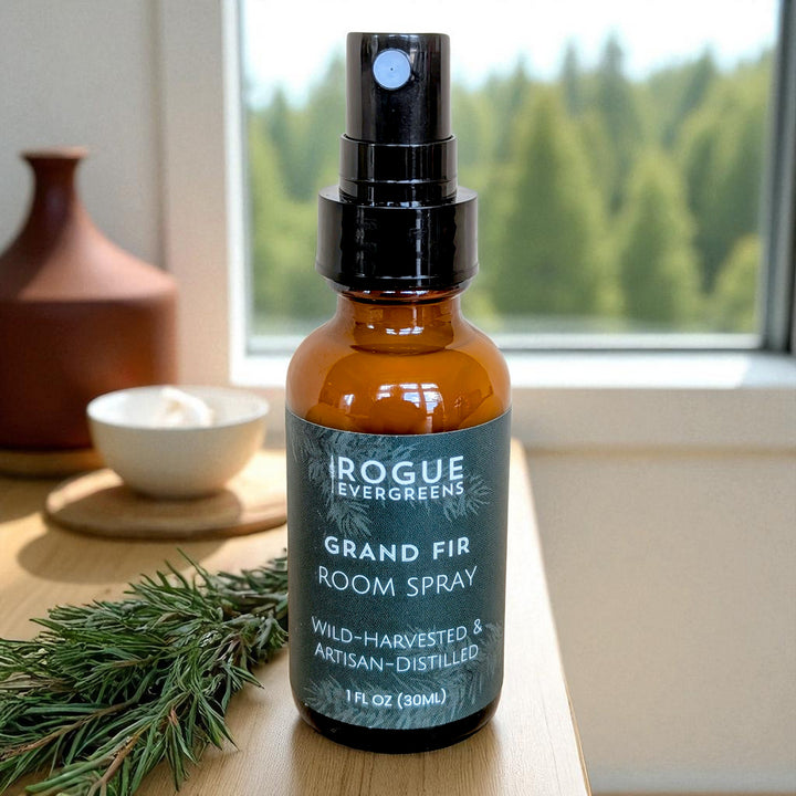 The Forest Library — Room Spray Discovery Set