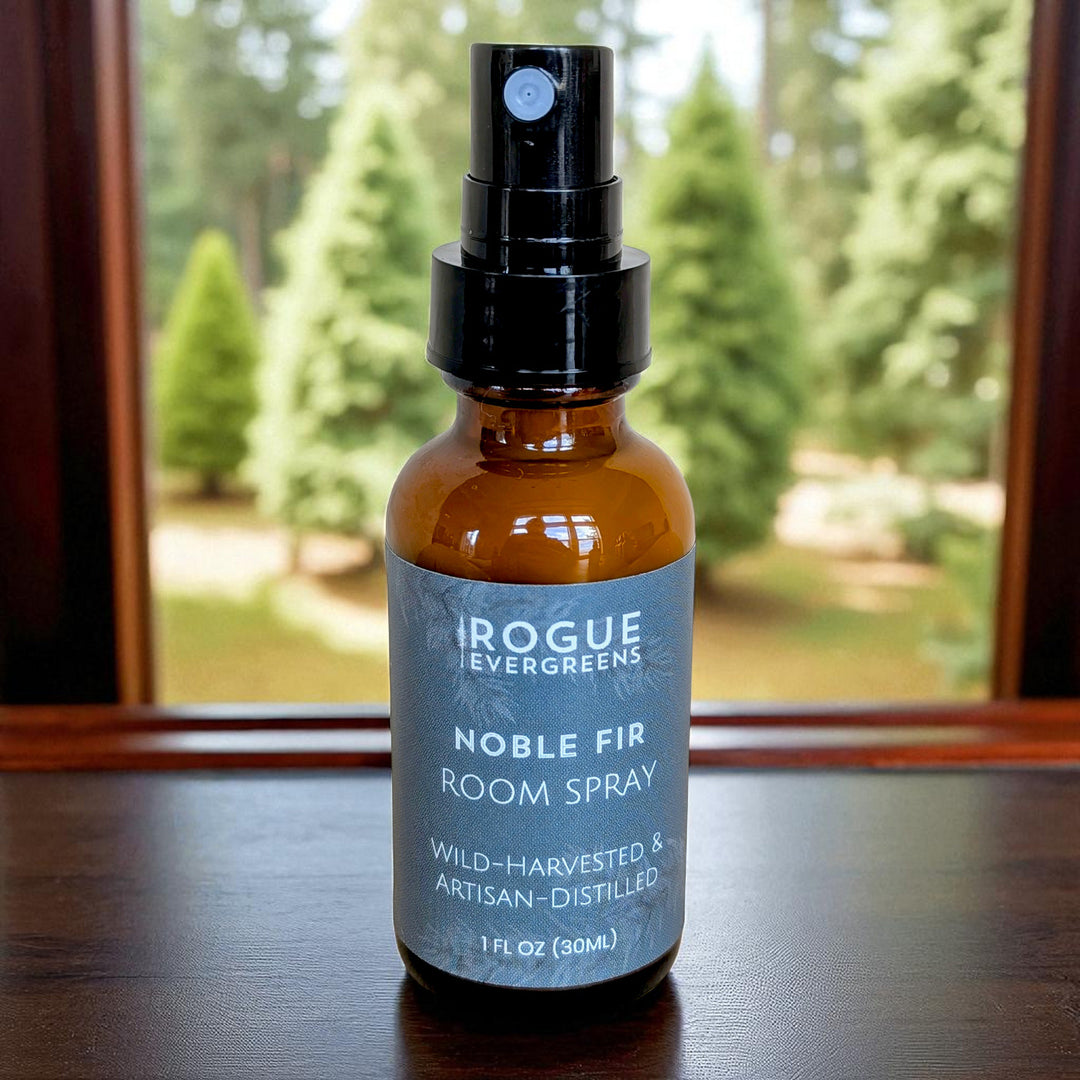 The Forest Library — Room Spray Discovery Set
