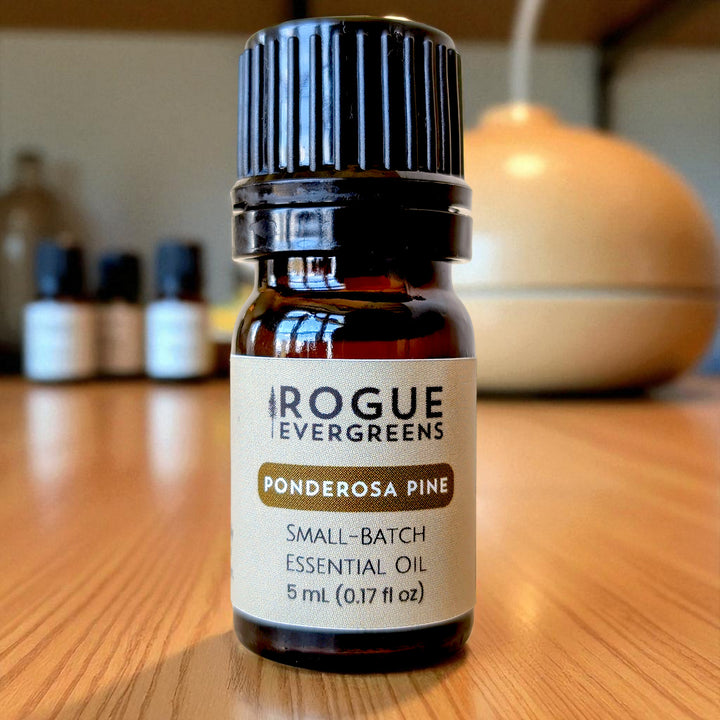 The Forest Library — Pure Conifer Oil Set