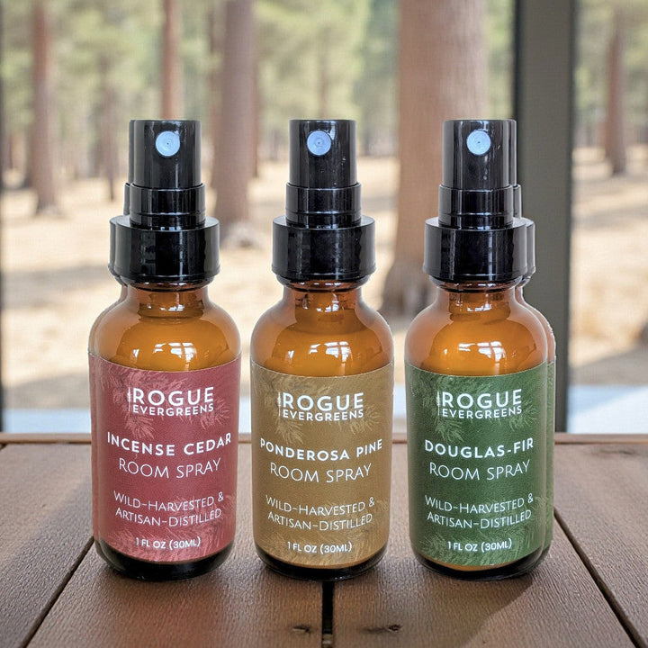 Dry Forest Trio — Room Spray Discovery Set