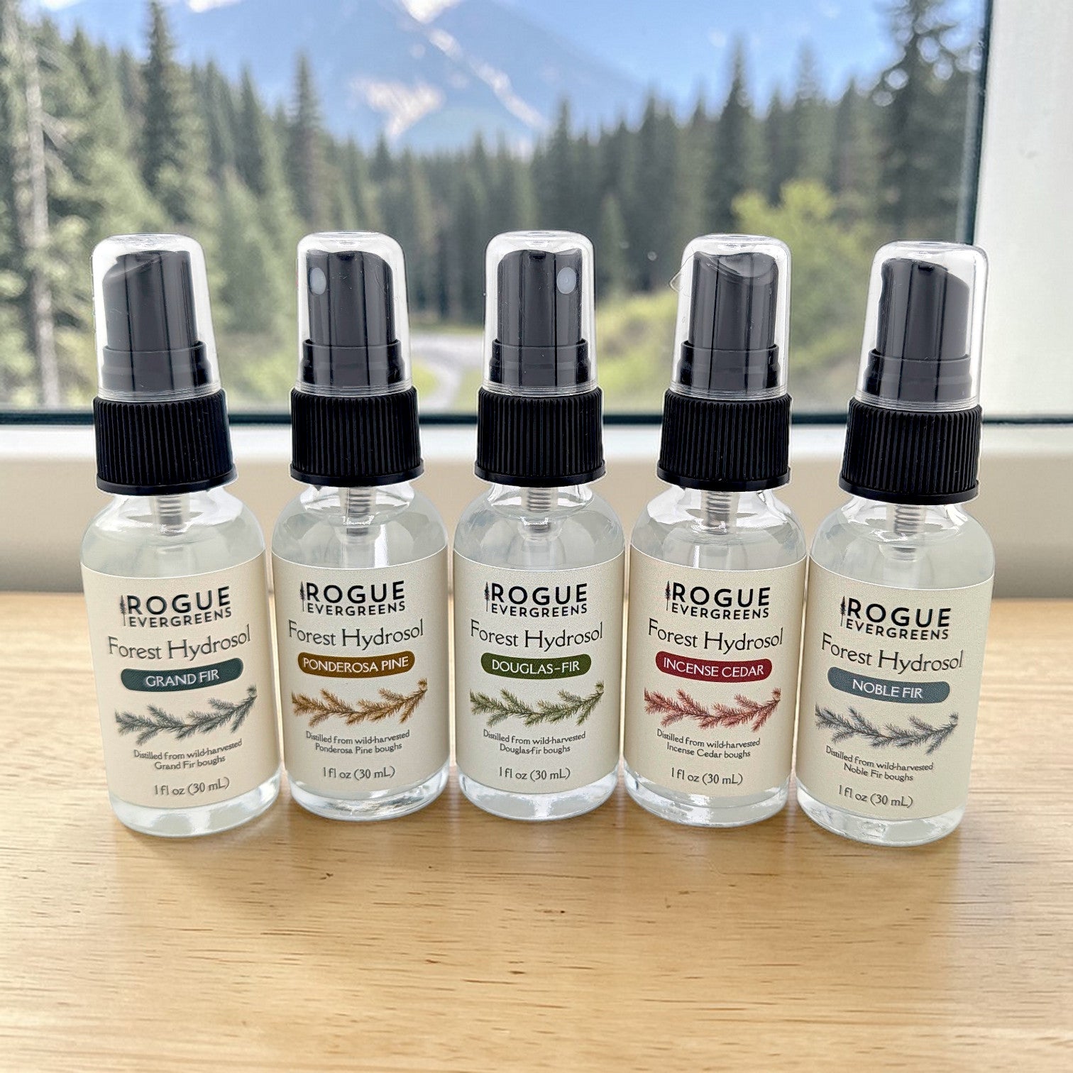 Rogue Evergreens